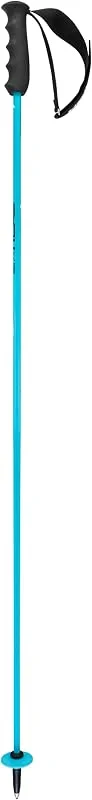 HEAD Worldcup Rebels Carbon Bâtons de Ski Unisexe, Speed Blue, Noir, Blanc, 105 — Equipement ski