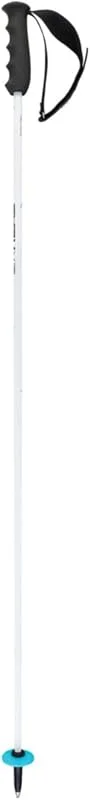 HEAD Worldcup Rebels Carbon Bâtons de Ski Unisexe, Blanc, Noir, Bleu Rapide, 120 — Equipement ski