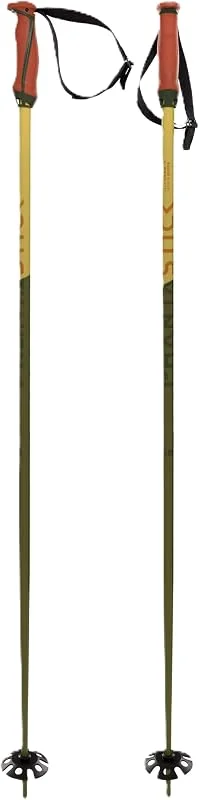 Volkl - Batons De Ski Phantastick 18mm Green Vert Homme - Homme - Vert — Equipement ski
