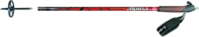 ALPINA Sports ASC BC Bâtons de Ski de Fond Noir 165 cm — Equipement ski